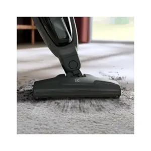 Electrolux ES31CB18GG usisavač - slika 3