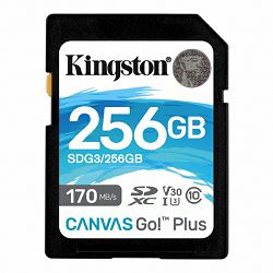 Kingston Canvas Go! Plus SD, R170MB/W90MB, 256GB