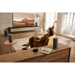 TCL zvučnik Z100-METAL - slika 3