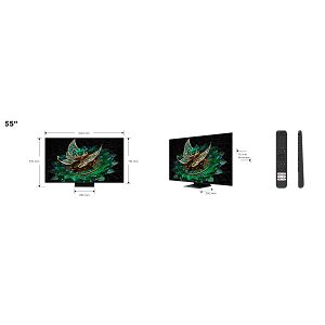 televizor-tcl-mini-led-tv-55-55q9b-google-tv-14190-75854_50751.jpg